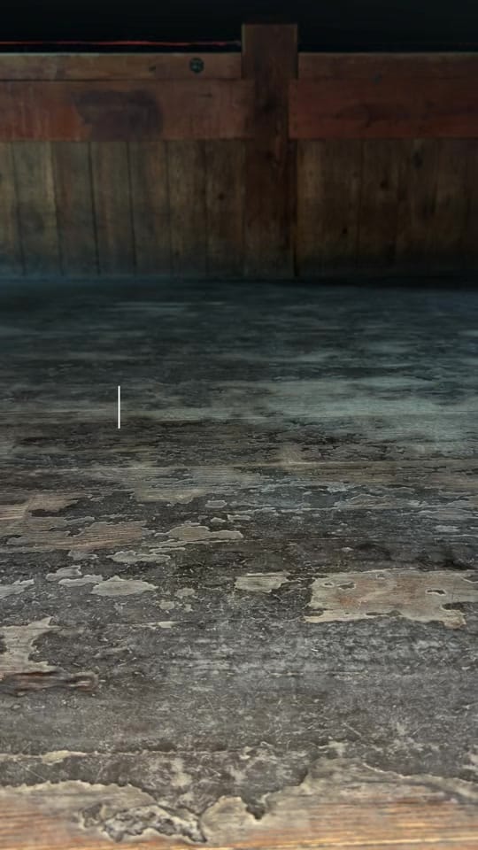 Post 4 by cookcountysaloon on TikTok (video)