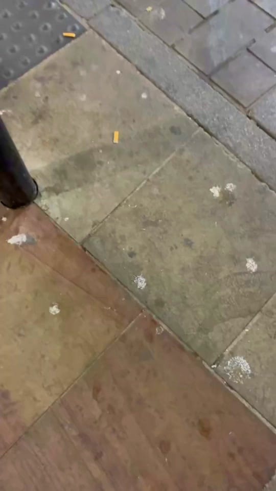 Post 5 by Loosedays on TikTok (video)