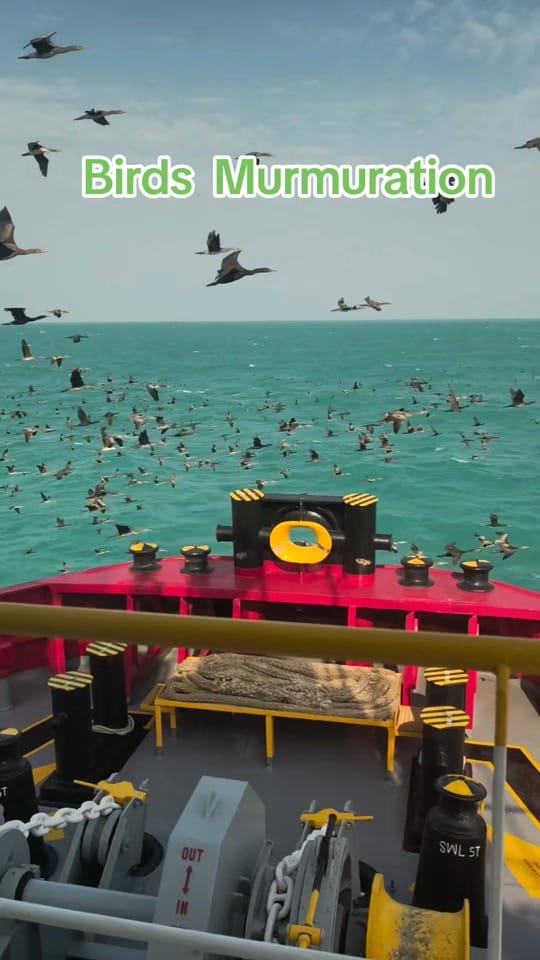 Post 6 by Capt Roby,M.Mar on TikTok (video)