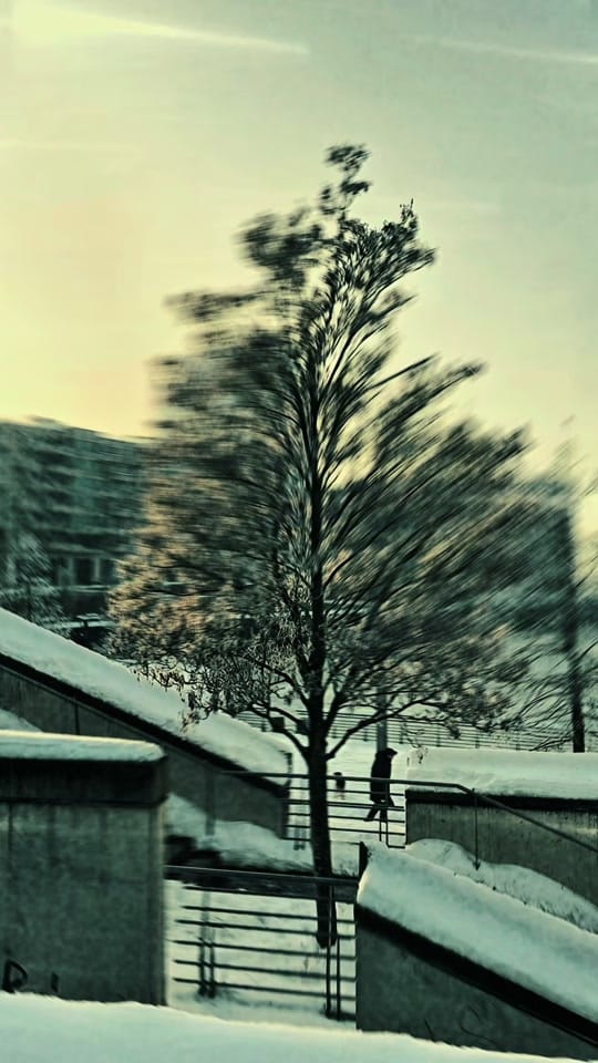 Post 4 by Ahmed Attique on TikTok (video)