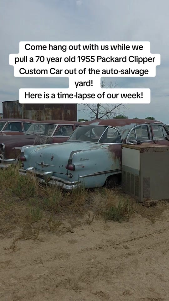 Post 10 by Sew Vannerz on TikTok (video)