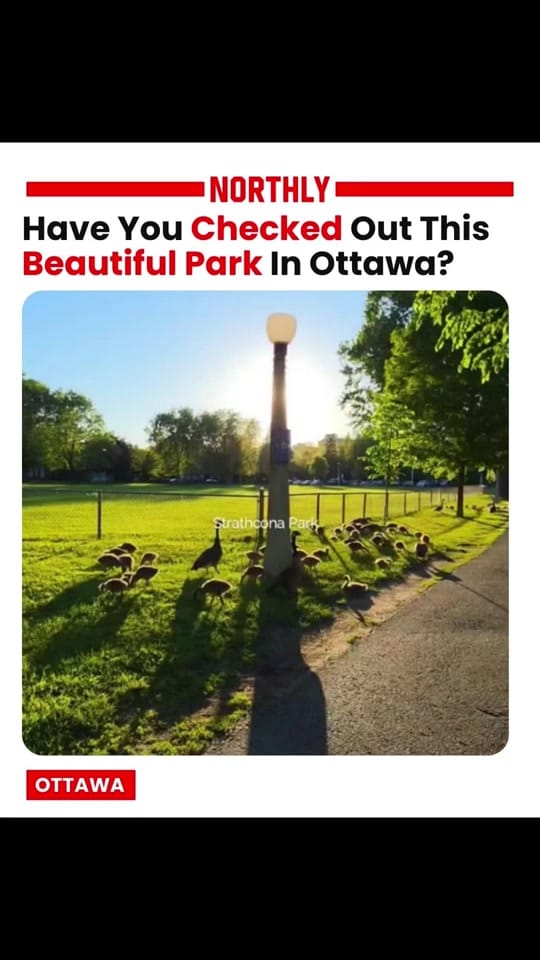 Post 2 by northlyottawa on TikTok (video)