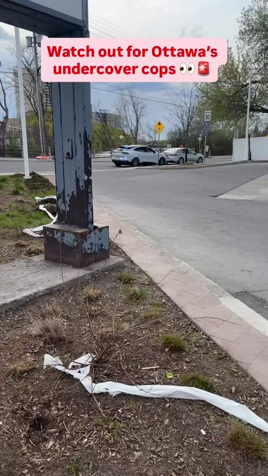 Post 8 by northlyottawa on TikTok (video)