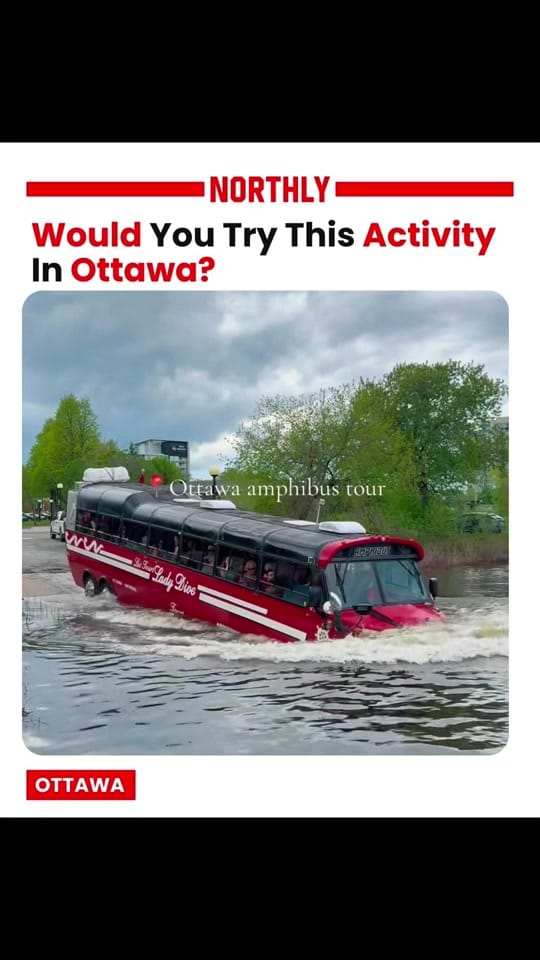 Post 5 by northlyottawa on TikTok (video)