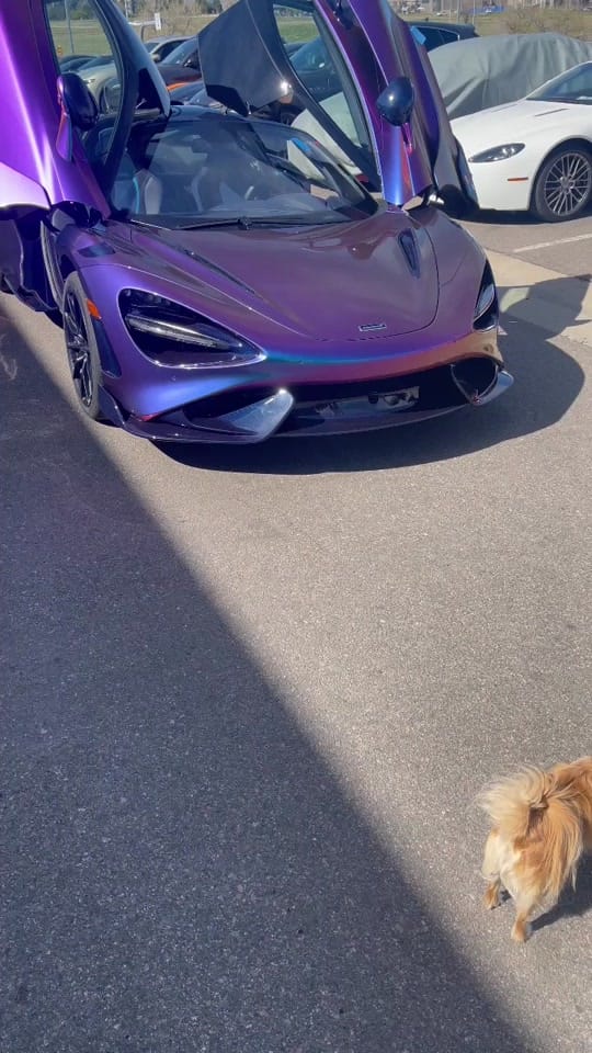 Post 9 by user6716001056914 on TikTok (video)