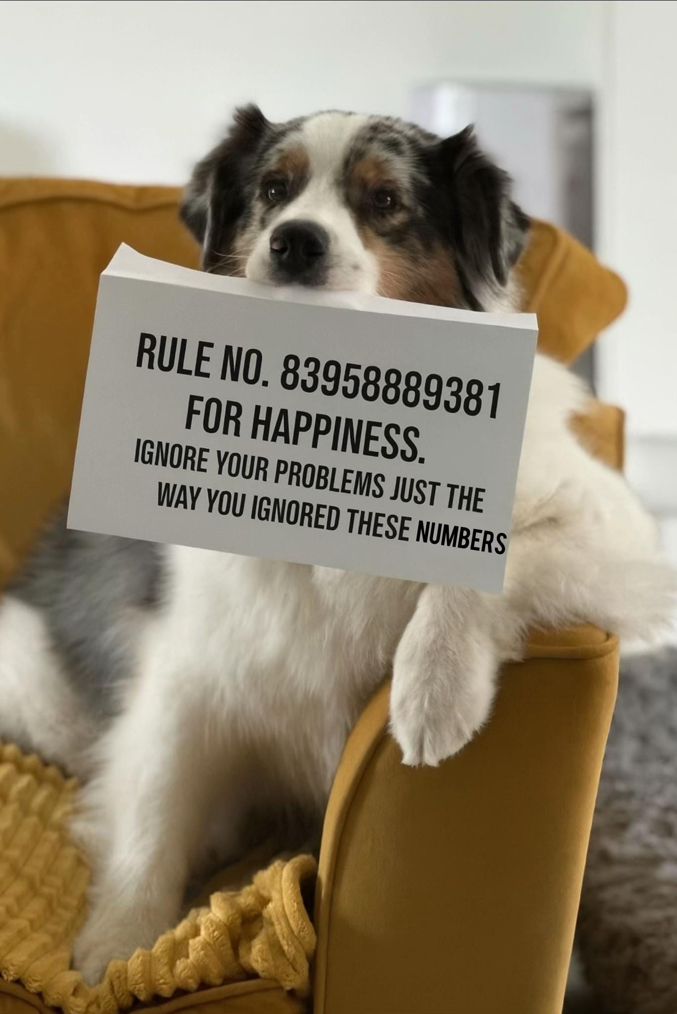 Post 4 by Wiggle butts on a Mission on TikTok (video)