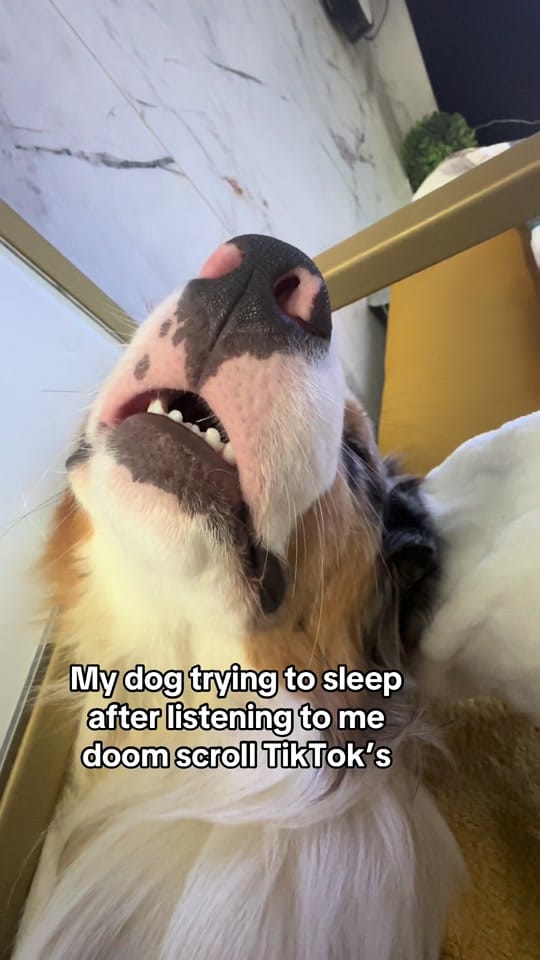 Post 7 by Wiggle butts on a Mission on TikTok (video)