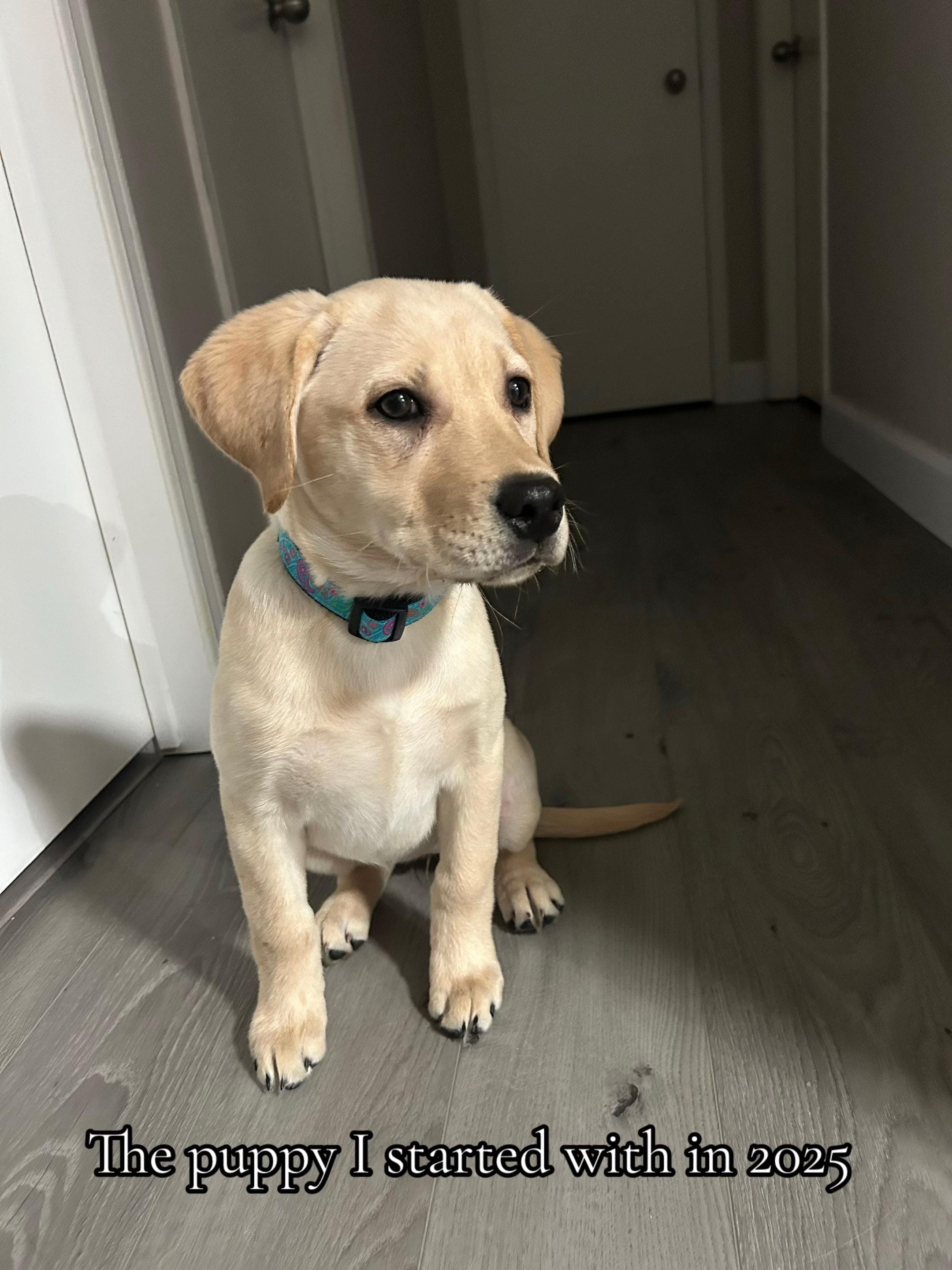 Post 1 by Kait Mitchell on TikTok (video)