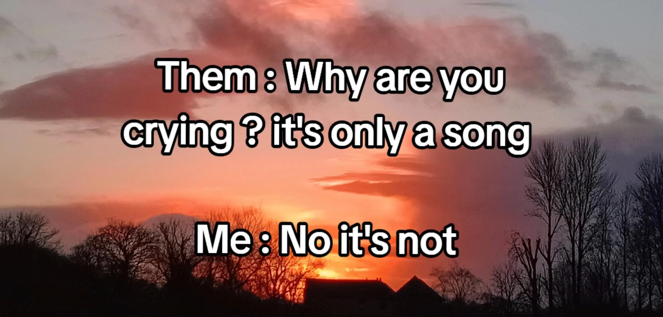 Post 1 by Eoin Phelan on TikTok (video)