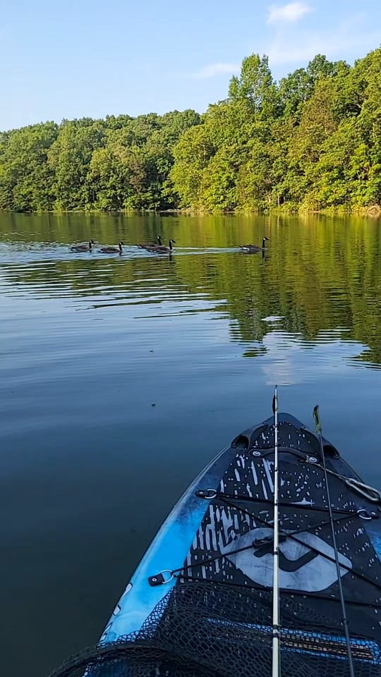 Post 3 by Har_Lo on TikTok (video)