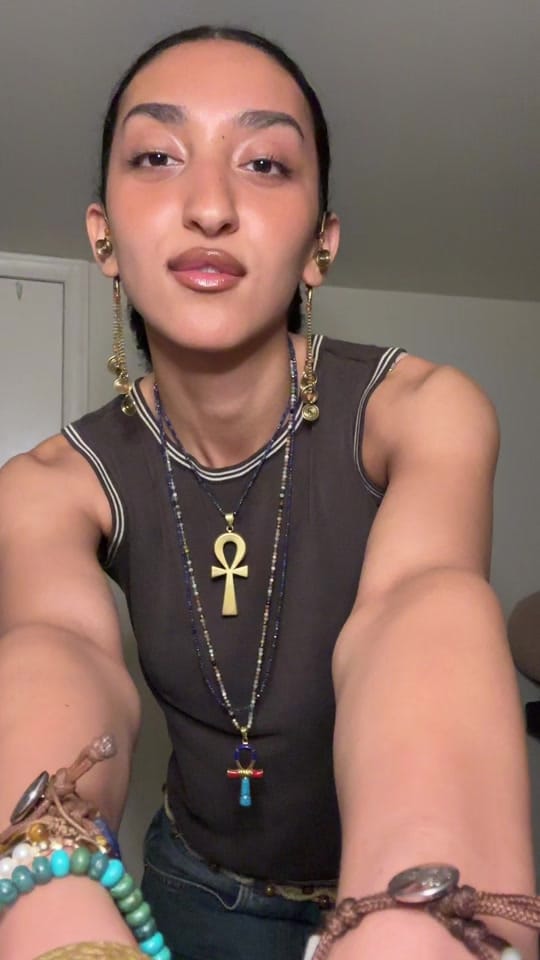 Post 4 by Zad Abouhatab on TikTok (video)