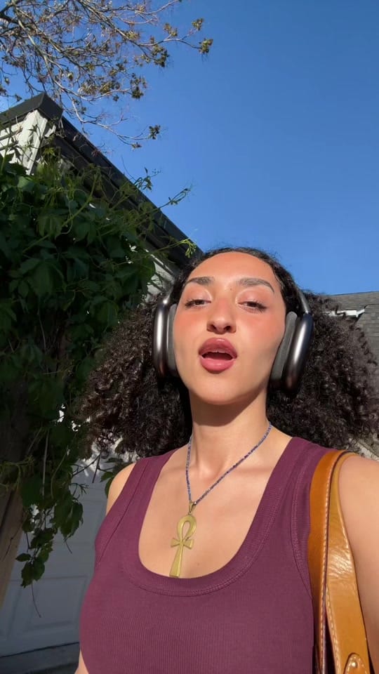 Post 7 by Zad Abouhatab on TikTok (video)