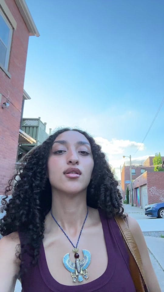 Post 1 by Zad Abouhatab on TikTok (video)