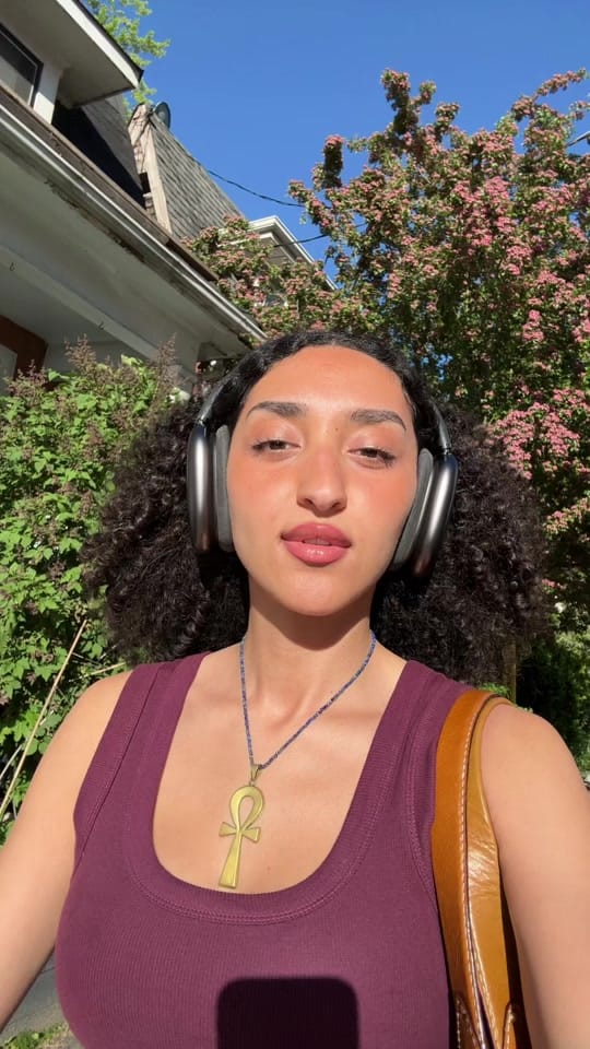 Post 8 by Zad Abouhatab on TikTok (video)