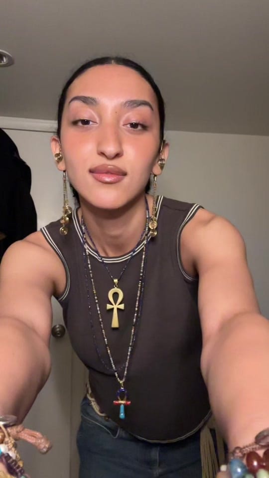 Post 5 by Zad Abouhatab on TikTok (video)