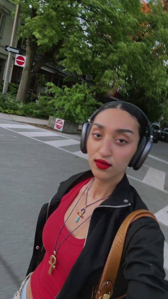 Post 2 by Zad Abouhatab on TikTok (video)