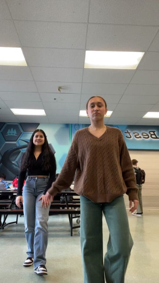 Post 9 by Alicia <3 on TikTok (video)