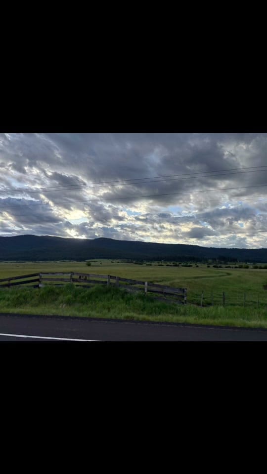 Post 8 by Randy shine🏔️🐾🦌 on TikTok (video)