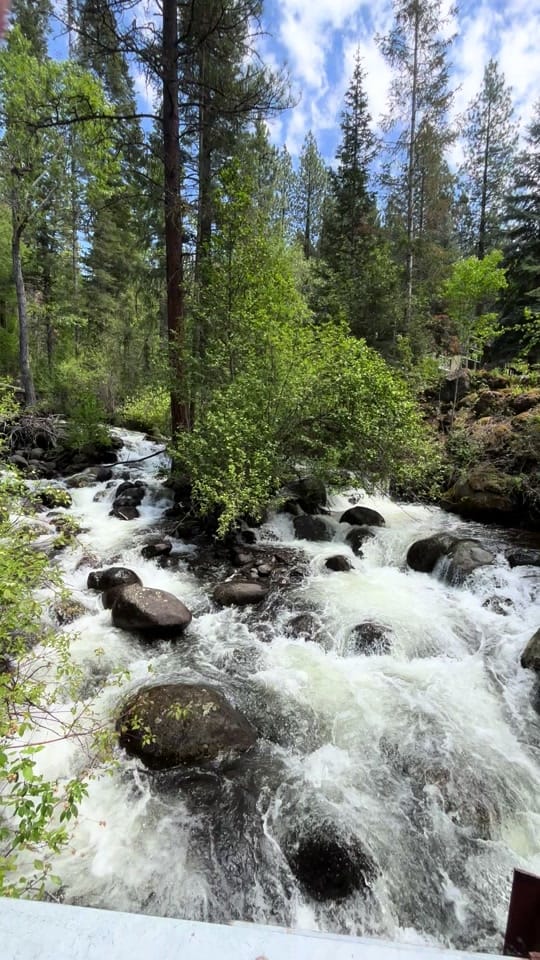 Post 5 by Randy shine🏔️🐾🦌 on TikTok (video)