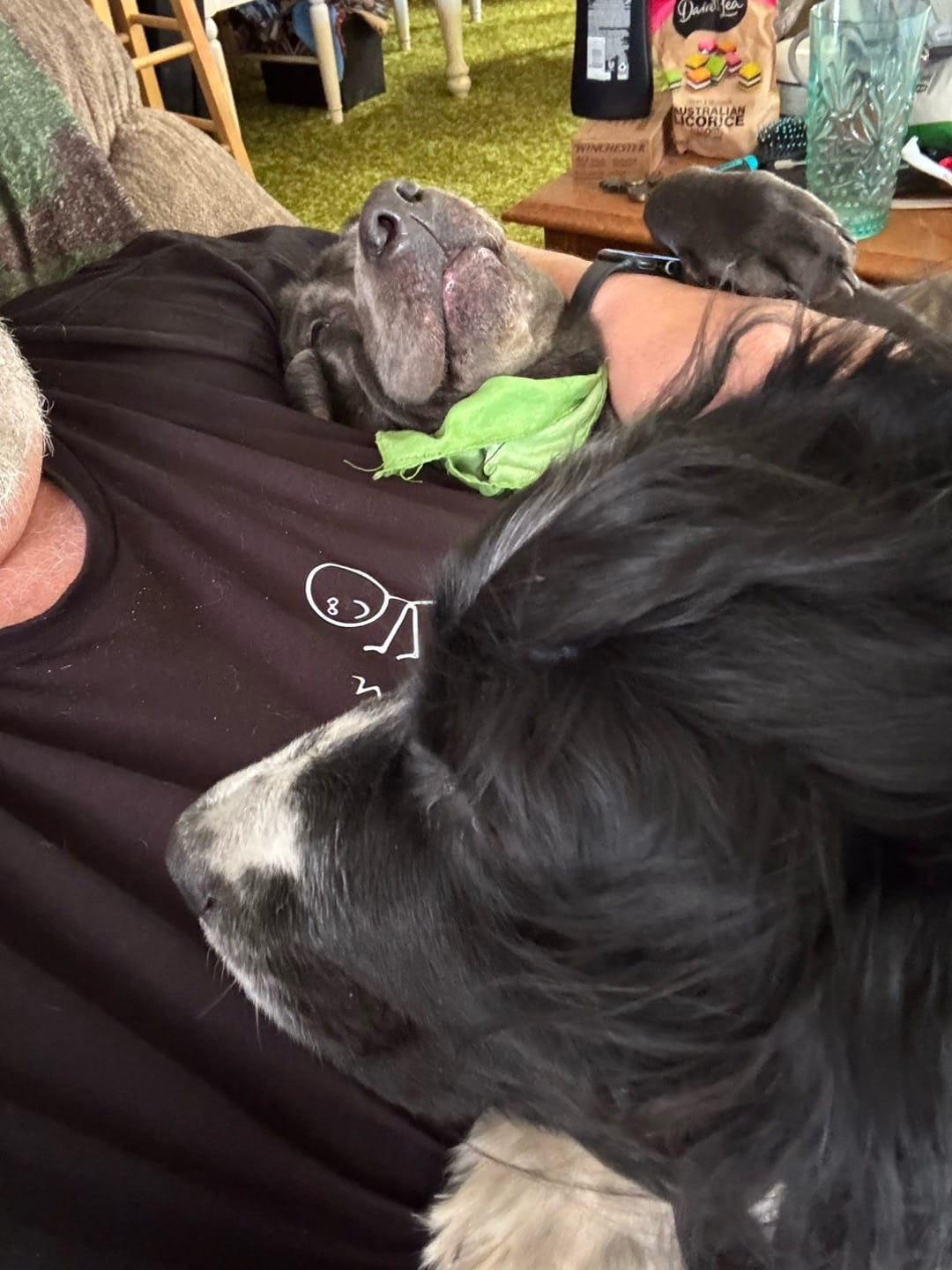 Post 3 by Randy shine🏔️🐾🦌 on TikTok (video)