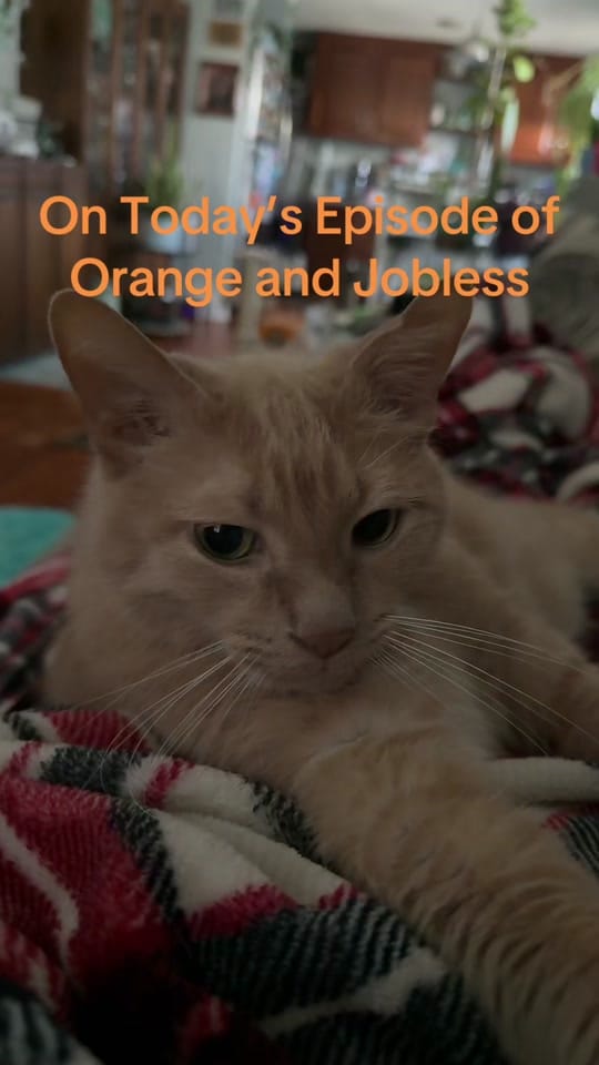 Post 1 by Crystal 🩵 on TikTok (video)