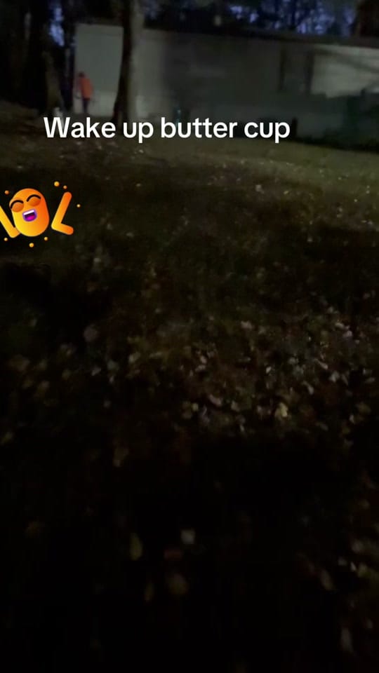 Post 10 by user120736268270 Deno on TikTok (video)