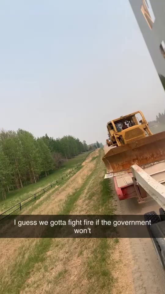 Post 8 by Abigail Davis on TikTok (video)