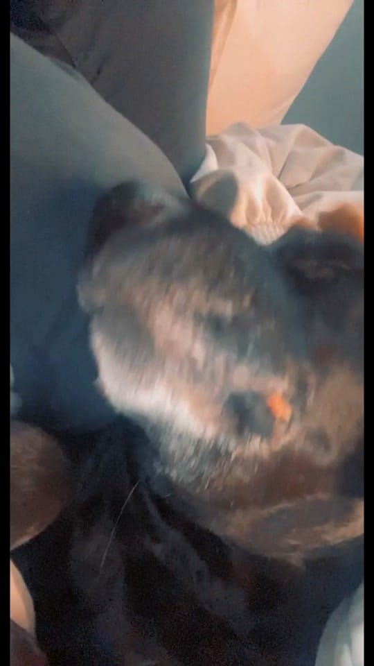 Post 5 by ABS 🩵♠️ on TikTok (video)