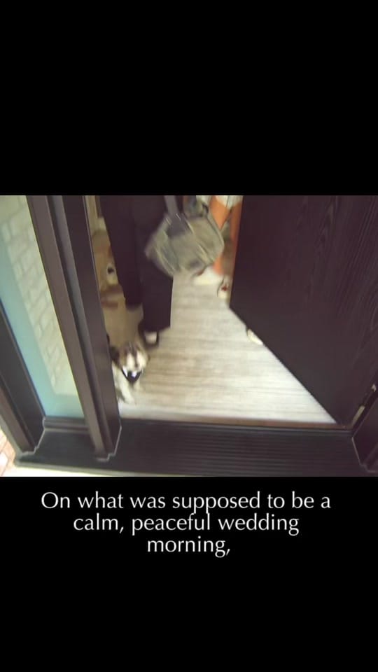 Post 4 by Everlastingmomentsphotography on TikTok (video)