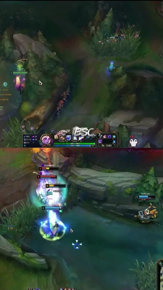Post 5 by DongHuaP on TikTok (video)