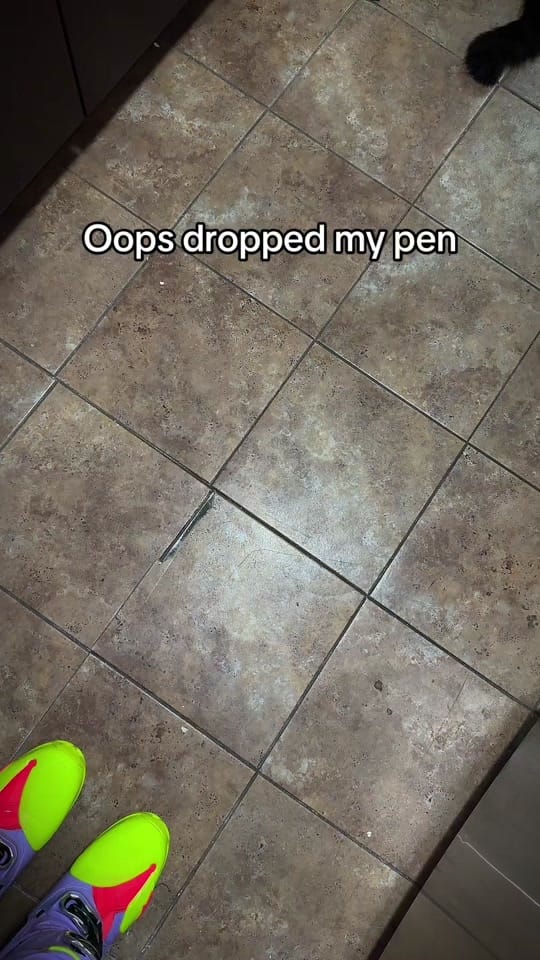 Post 2 by Sophie Bouree Johnson on TikTok (video)