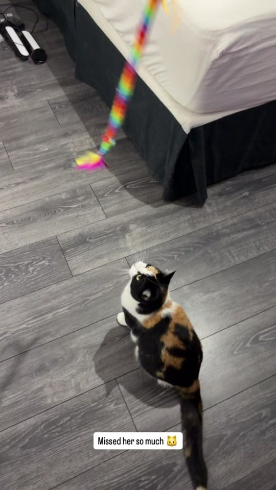 Post 6 by Christophertremb on TikTok (video)