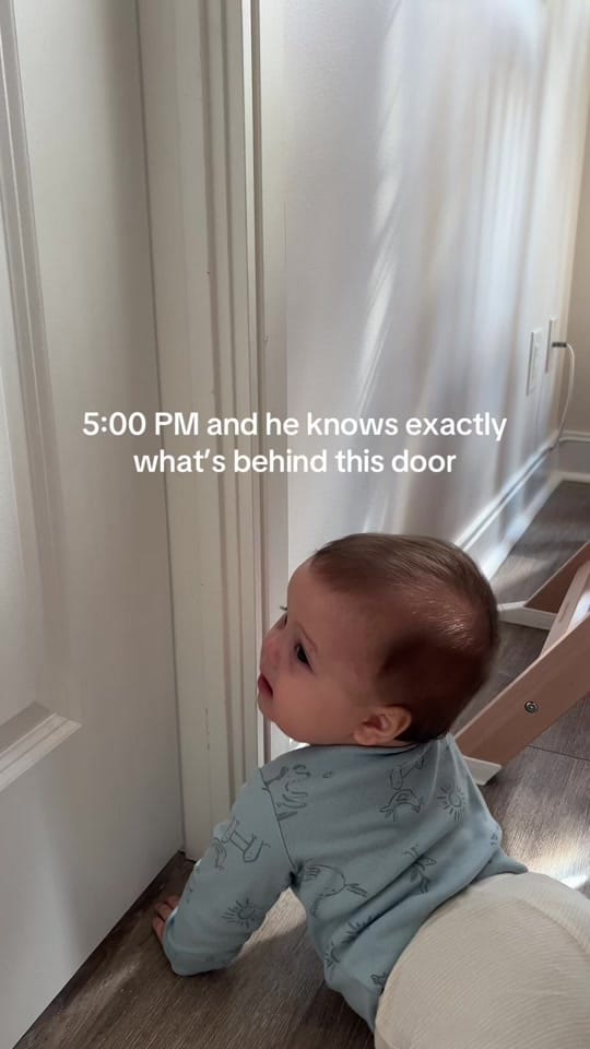 Post 2 by Liv DeClavasio on TikTok (video)