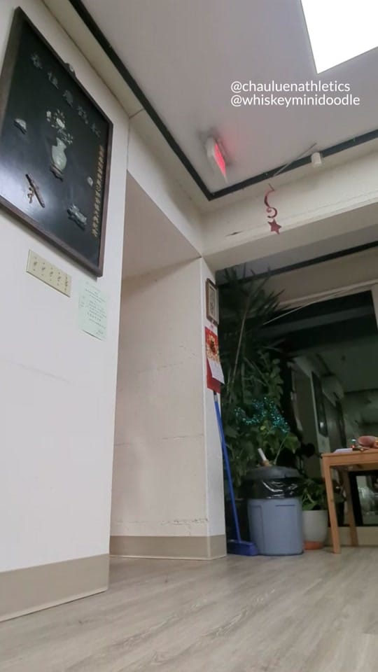 Post 6 by Chau Luen Athletics on TikTok (video)
