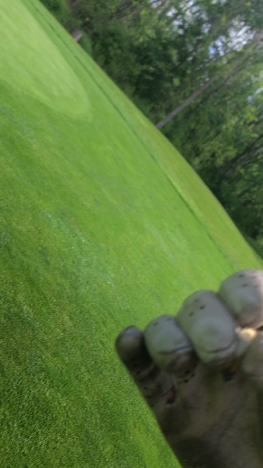 Post 6 by 🇨🇦SAM🇨🇦 on TikTok (video)