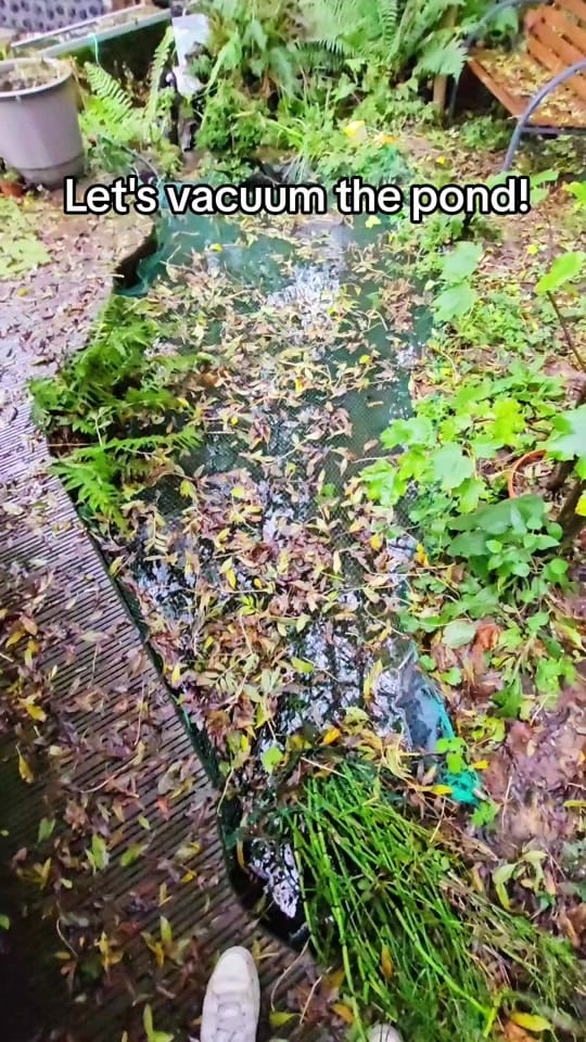 Post 3 by thejoyofaquascaping on TikTok (video)