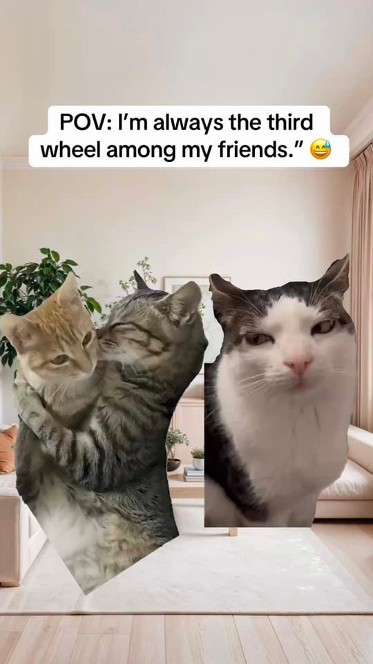 Post 1 by UnfilteredReality on TikTok (video)