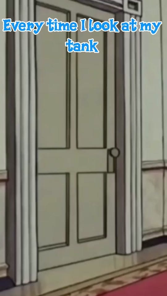 Post 2 by LJ0330 on TikTok (video)