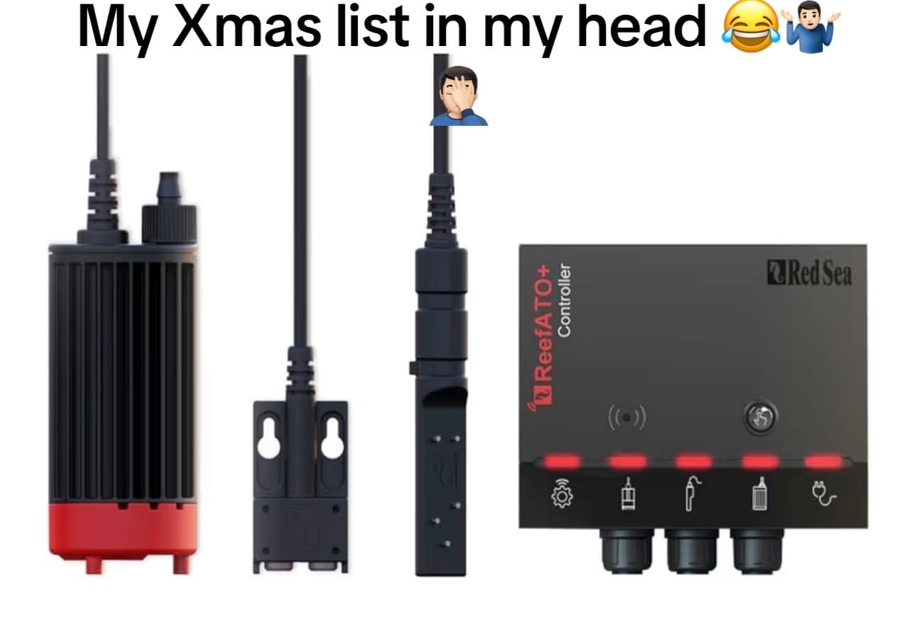 Post 6 by LJ0330 on TikTok (video)