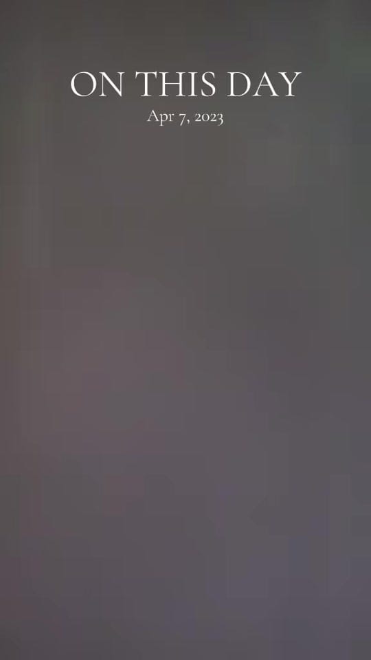 Post 5 by the_fabricated_fox on TikTok (video)