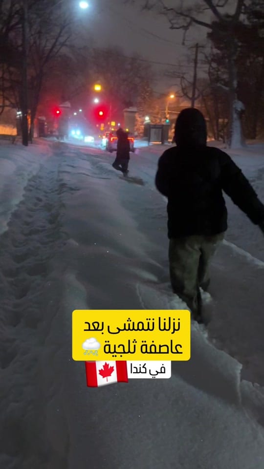 Post 6 by Fatma | فاطمة on TikTok (video)
