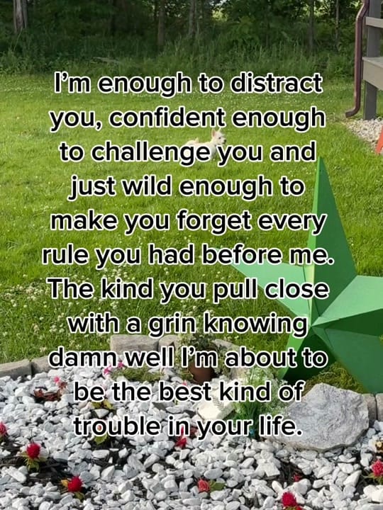 Post 7 by Michelle Scudder on TikTok (video)
