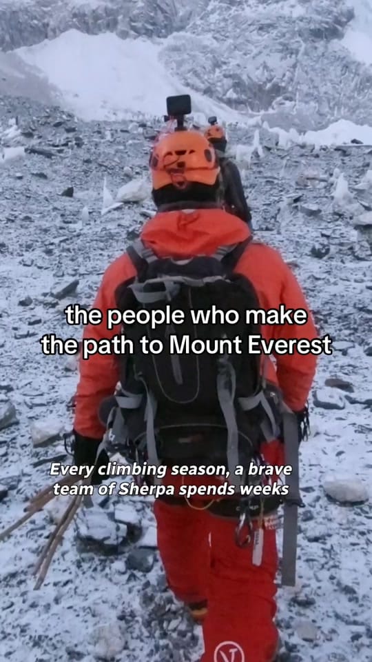 Post 4 by CBC Gem on TikTok (video)