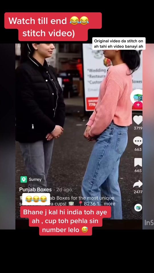 Post 9 by Tejinder Brar on TikTok (video)