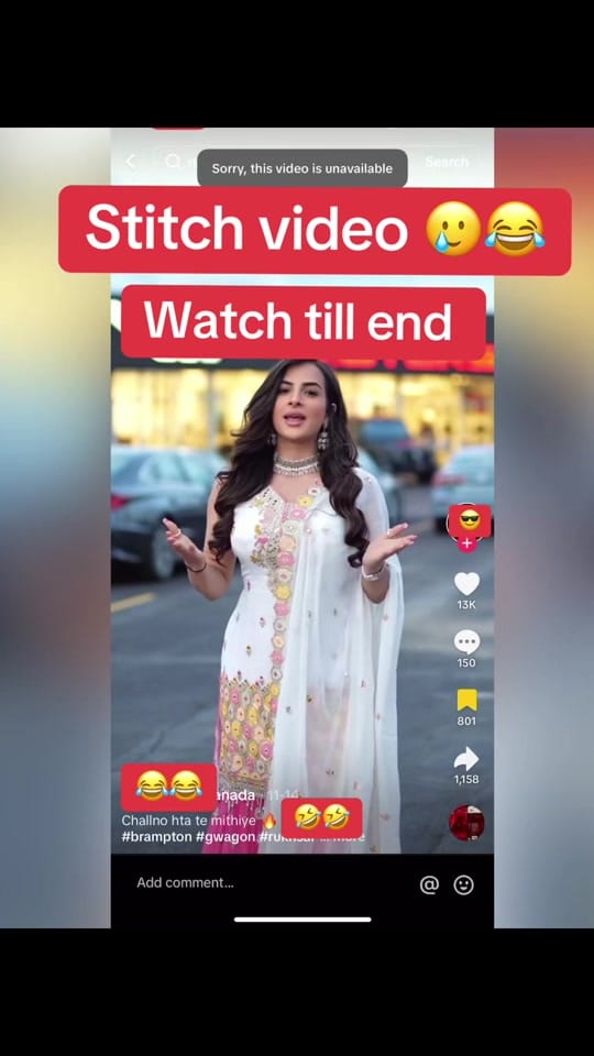 Post 6 by Tejinder Brar on TikTok (video)