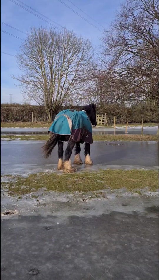 Post 9 by The Yorkshire Knight on TikTok (video)