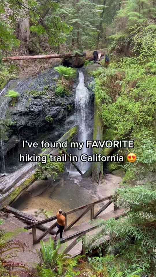 Post 10 by Britt’s Bella Vita on TikTok (video)