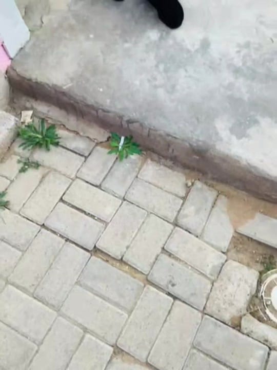 Post 9 by s⭕️ka'lezwe on TikTok (video)