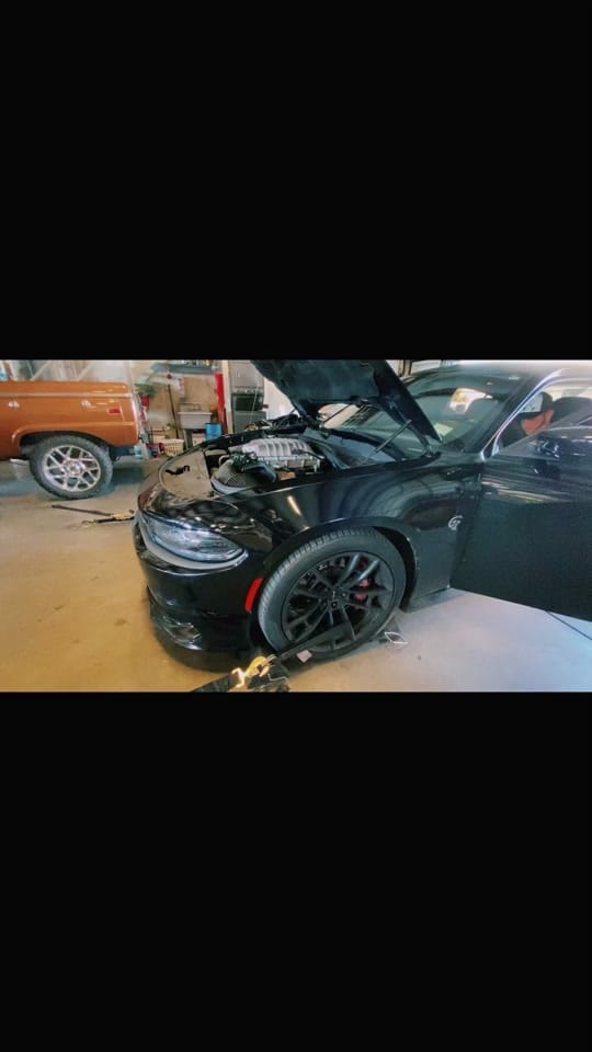 Post 1 by Holdfast Performance on TikTok (video)