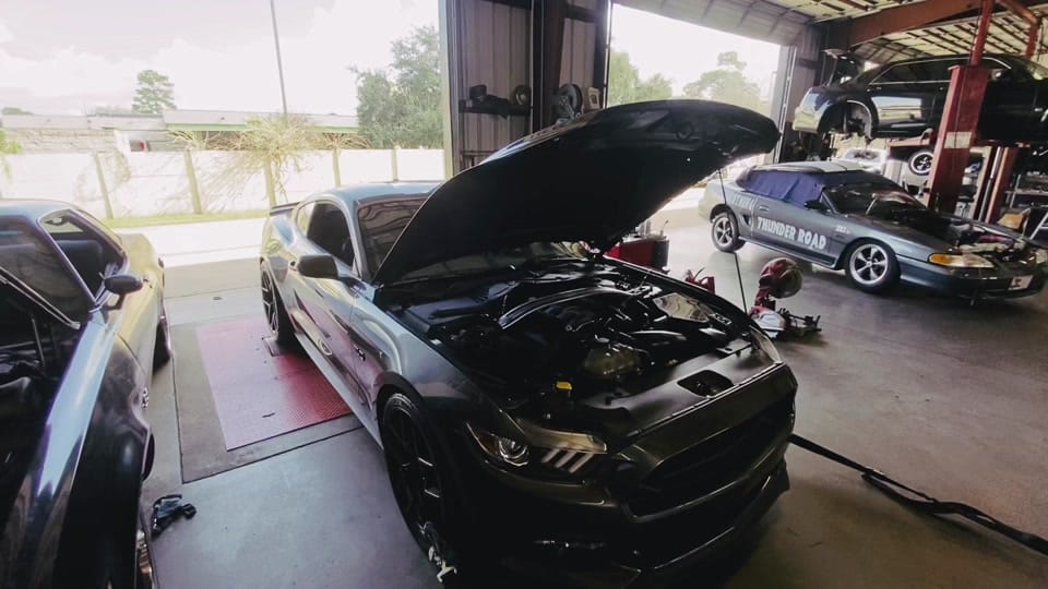 Post 3 by Holdfast Performance on TikTok (video)